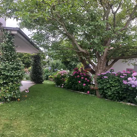En Casa Moderna Con Jardin 民宿 圣克鲁斯德韦萨纳
